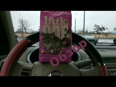 Видео: Плохой корм для шиншилл!