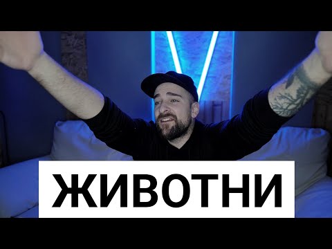 Видео: Кој те праша?! - Животни