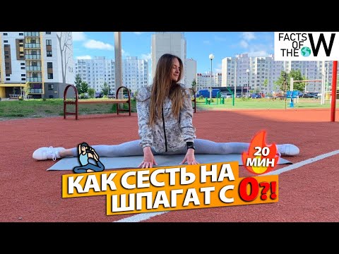 Видео: КАК СЕСТЬ НА ШПАГАТ С НУЛЯ ЗА 20 МИНУТ В ДЕНЬ!