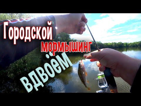 Видео: Городской мормышинг вдвоём