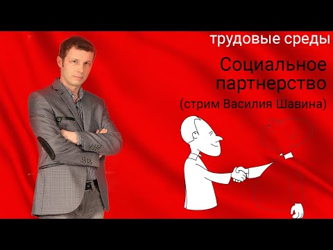Видео: Социальное партнерство (стрим Василия Шавина)