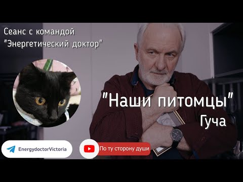 Видео: ОНКОЛОГИЯ у кошки, общение с Душой после выхода из тела 🤍