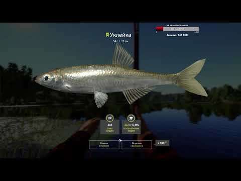 Видео: Russian Fishing 4 #14 | Стрим 18.09.2024