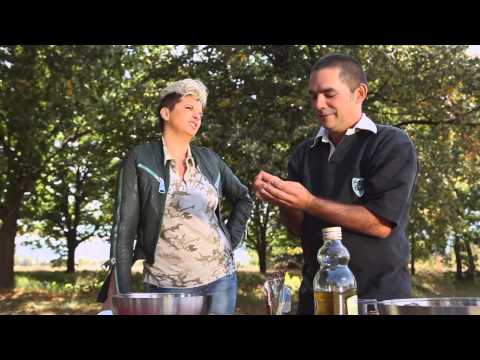 Видео: Щипка Сол - Епизод 10