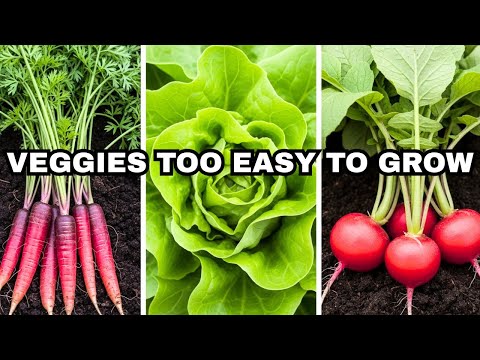 Видео: 5 овощей, которые слишком ЛЕГКО выращивать в саду