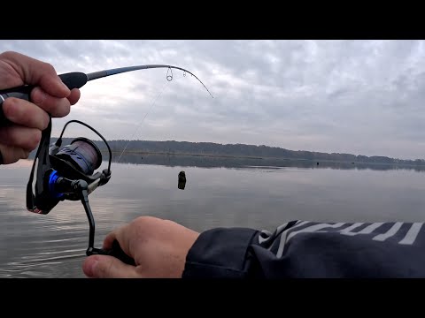 Видео: ПОДОБРАЛ КЛЮЧ И НАЧАЛИСЬ ПОКЛЁВКИ! НАКОНЕЦ ЩУКА РЕШИЛА ПОЕСТЬ.СПИННИНГ В НОЯБРЕ 2023.