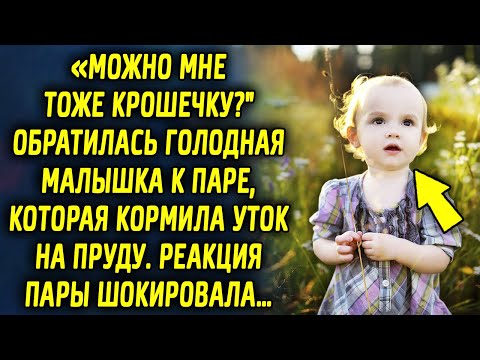 Видео: "Можно мне тоже крошечку?" обратилась малышка к паре, которая кормила уток на пруду. Реакция пары…