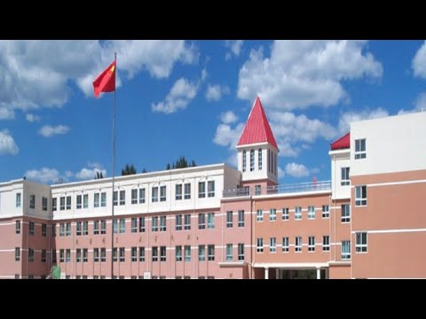 Видео: Поступление в Китай после 9 класса в колледж в Пекин. MingYang. Мария Быданцева.