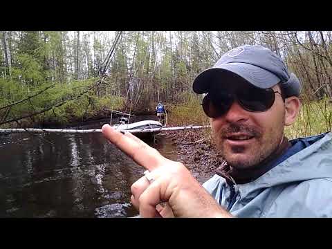 Видео: Река Бысса. В верховьях. 2017.  Абакан 430 Jet Parsun40.  Фрегат 430 Light Jet Mercury 25 Jet