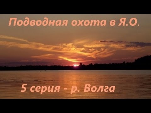 Видео: Подводная охота в Ярославской области. 5 серия - река Волга.