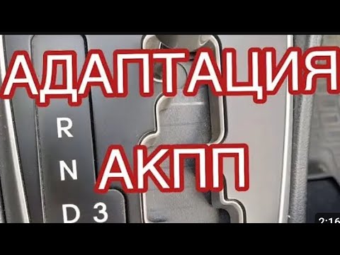 Видео: Renault TALISMAN . Адаптация АКПП DC4  с помощью программы ПИРЕН. #renault