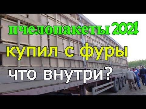 Видео: Пчелопакеты бакфаст! Купил пчёл с фуры! Сила пчелопакетов в 2021