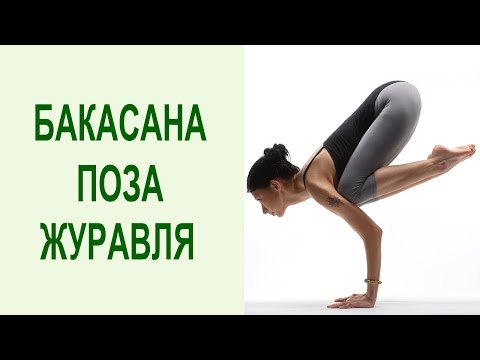 Видео: Как выполнять бакасану? Бакасана (поза журавля) для начинающих: позы йоги на руках. Yogalife