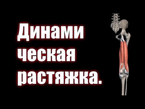 Видео: Динамическая растяжка задней поверхности бедра