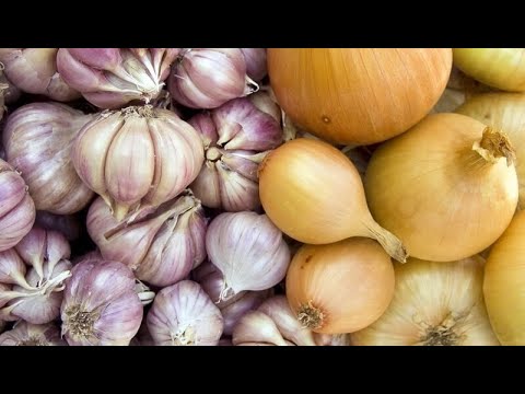 Видео: ОЗНАКИ ДОЗРІВАННЯ ЧАСНИКА ТА ЦИБУЛІ. ЯК ПРИСКОРИТИ ДОЗРІВАННЯ?