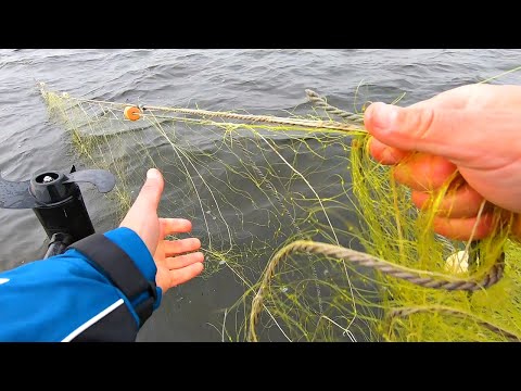 Видео: Искали рыбу и запутались в браконьерских сетях! Или почему женщин нужно брать на рыбалку!