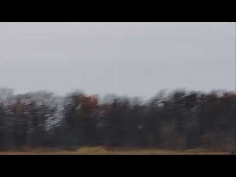 Видео: 2 ноября 2025 г.