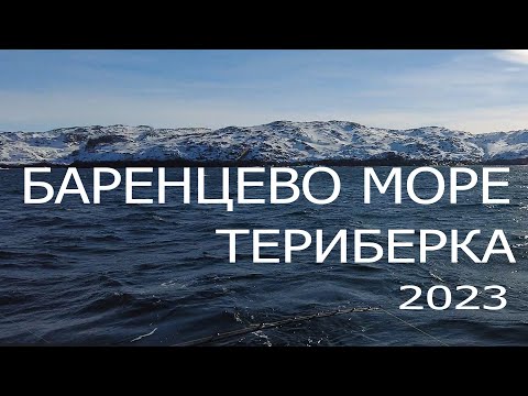 Видео: ТЕРИБЕРКА 2023