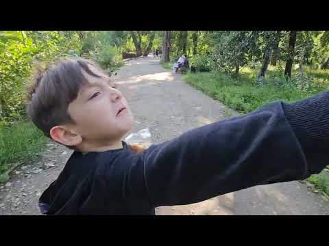 Видео: Харитоновский #парк #красота , покормили голубей, уток и чаек🤗