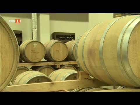 Видео: Каква е връзката между доброто вино и ретро автомобилите, "Бразди" - 11.02.2023