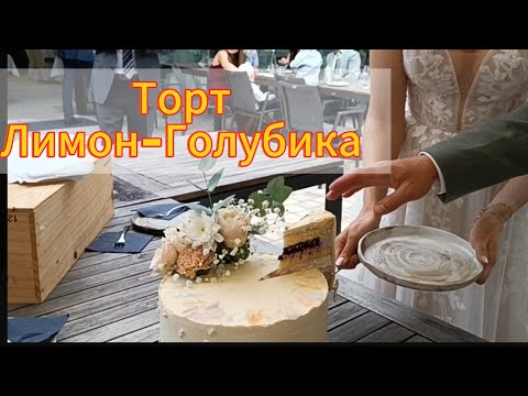 Видео: Бисквит в Термомиксе/Торт Лимон-Голубика#ольгабуднигермании #рецепты
