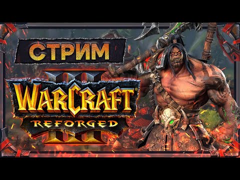 Видео: Warcraft III. Подготовка к MoonWell Cup.