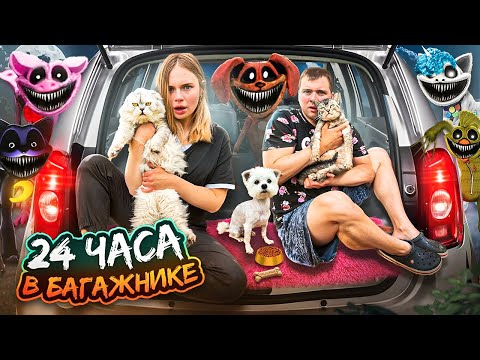 Видео: 24 ЧАСА В БАГАЖНИКЕ С УЛЫБАЮЩИМИСЯ ТВАРЯМИ | НАС ПРЕСЛЕДУЕТ CATNAP С КОТОМ И СОБАКОЙ