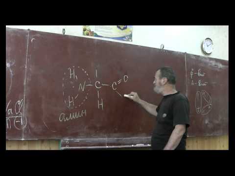 Видео: Драконоведение. Часть 34