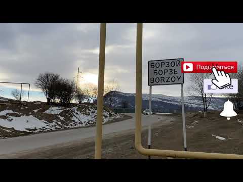 Видео: Борзой