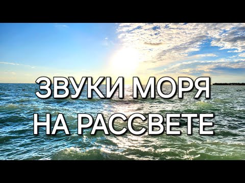 Видео: Sounds of the sea at dawn. The sound of waves. Music for sleep. Звуки моря. Шум волн. Фон моря.