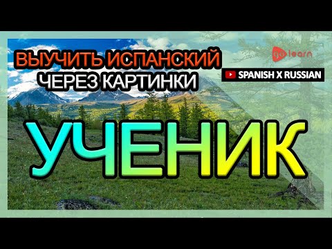 Видео: Выучить испанский через картинки |испанский словарь ученик | Golearn