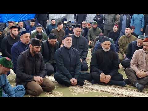 Видео: Мохьмад закани хаза назма у Кимаевых