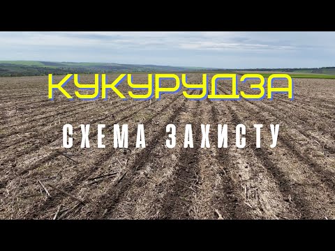 Видео: Схема захисту кукурудзи.від бур'янів