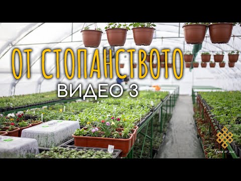 Видео: От стопанството - Видео 3 - 06.03.2023