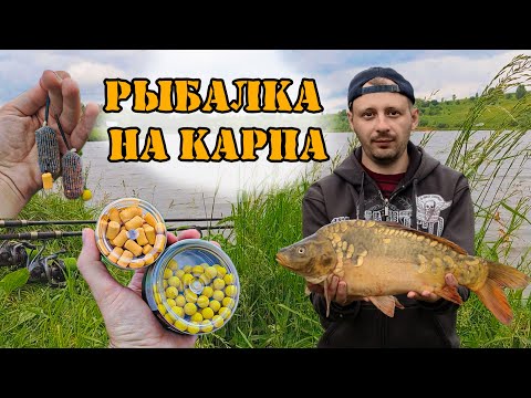 Видео: Летняя рыбалка на карпа 🎣 Рыбалка с ночевкой 🌙 #рыбалка #fishing #carp #лето2025 #carpfishing #flat
