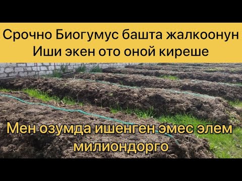 Видео: Биогумус ээн оной жана ото байыта турган бизнес экен мен озумда ишенген эмесмин. Сизда баштаныз
