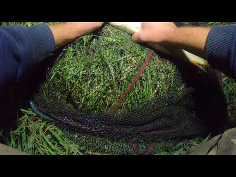 Видео: Рыбачем на Турунчуке