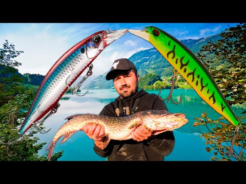 Видео: Баттл DUO REALIS vs MEREDITH REALIS . | Какой воблер лучше Японец или Китаец ?