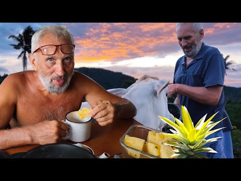 Видео: Батя негодует из-за кухни | Мумаичка поехала за планом дома | Купил бочку для сбора воды