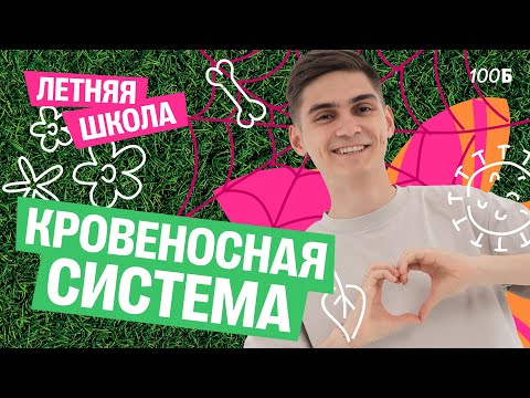 Видео: ЛЕТНЯЯ ШКОЛА ПО БИОЛОГИИ. Урок №2. Кровеносная система | Марк Ламарк | 100балльный репетитор