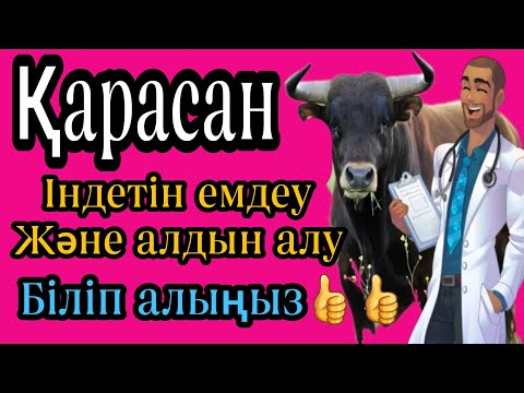 Видео: Қарасан індеті  Эмфизема крупного рогатого скота