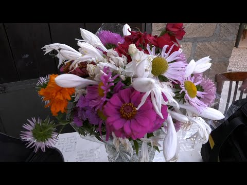 Видео: Arzudin дем 1 часть (06.09.2014)