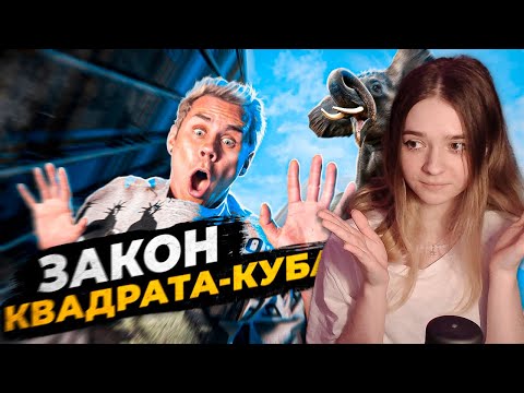 Видео: Какой ПРЕДЕЛ ВЫСОТЫ и РАЗМЕРОВ? Закон Квадрата-куба — ТОПЛЕС Реакция
