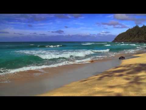 Видео: Медитация. Внутренний мужчина и женщина. Татьяна Славина