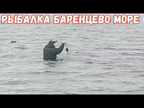 Видео: Рыбалка. Баренцево море 🌊 🌊 🌊