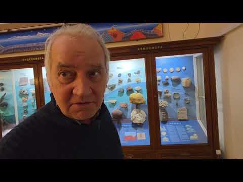 Видео: НОЕВ КОВЧЕГ МОСКВА/Музей имени. Вернадског/ Окаменелое дерево