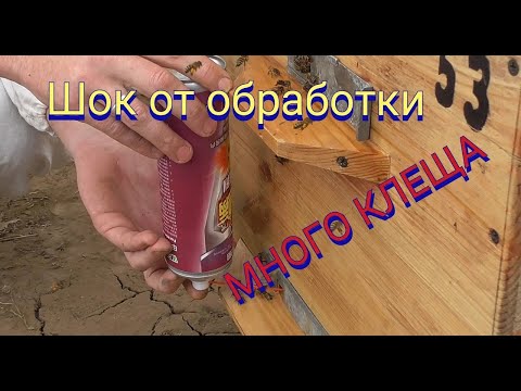 Видео: В шоке от осыпи клеща тестирую китайский спрей от клеща.