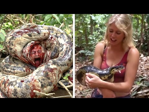 Видео: 15 Змеи Встретив Которых Бегите Без Оглядки
