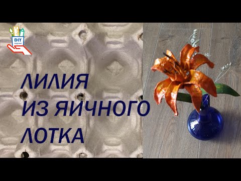Видео: Такого цветка из яичных лотков вы ещё не видели! [Diy ]
