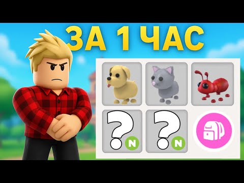 Видео: 1 ЧАС ПРОКАЧКИ В АДОПТ МИ! ЧЕГО СМОГ ДОСТИГНУТЬ?